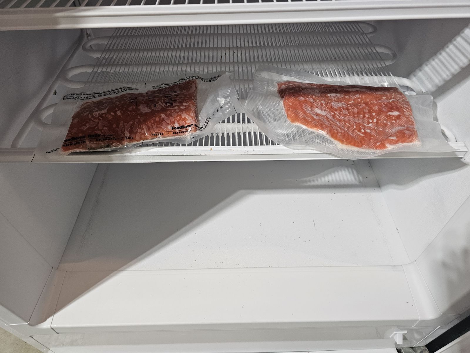 An empty freezer ready to be filled